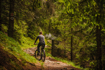 Obraz premium A handsome man on a bicycle in the wood