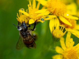Waiting for the rain to stop