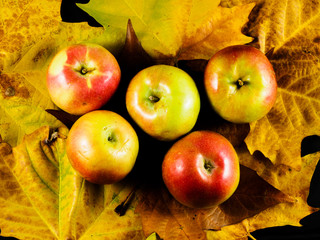 Fall and apples leaves background