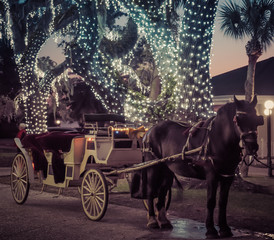 Fototapeta premium Christmas lights & horse drawn carriage