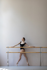 Beuatiful ballerina training in the class