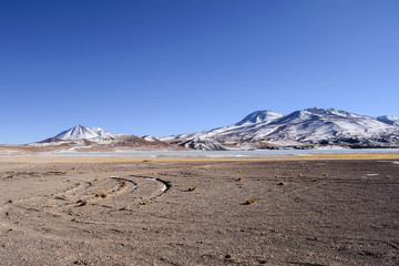 Laguna Tuyajto, Atacama desert, San Pedro de Atacama, Chile.