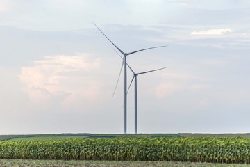 Windmill landscape. 