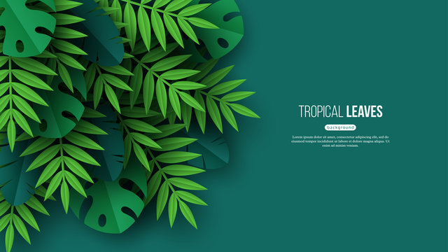 Exotic jungle tropical palm leaves. Summer floral design with green color background. Vector illustration.