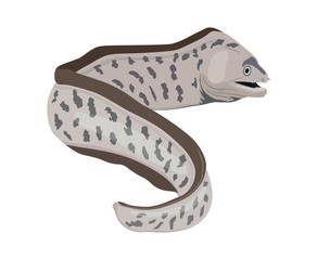 Icon of the ocean fish of the Moray. Vector illustration