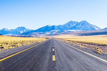 A long straight road that crosses the Atacama desert. Road to highlands lagoons. Lagunas altiplanicas, Chile, South America.