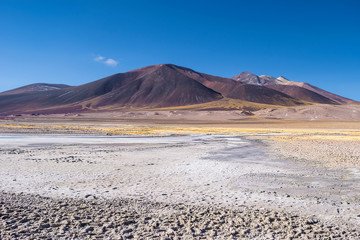 Laguna Tuyajto, Atacama desert, San Pedro de Atacama, Chile.