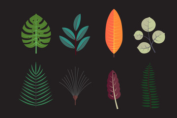 Forest tree leaves collection. vector icons. Decorative flora autumn leaf.