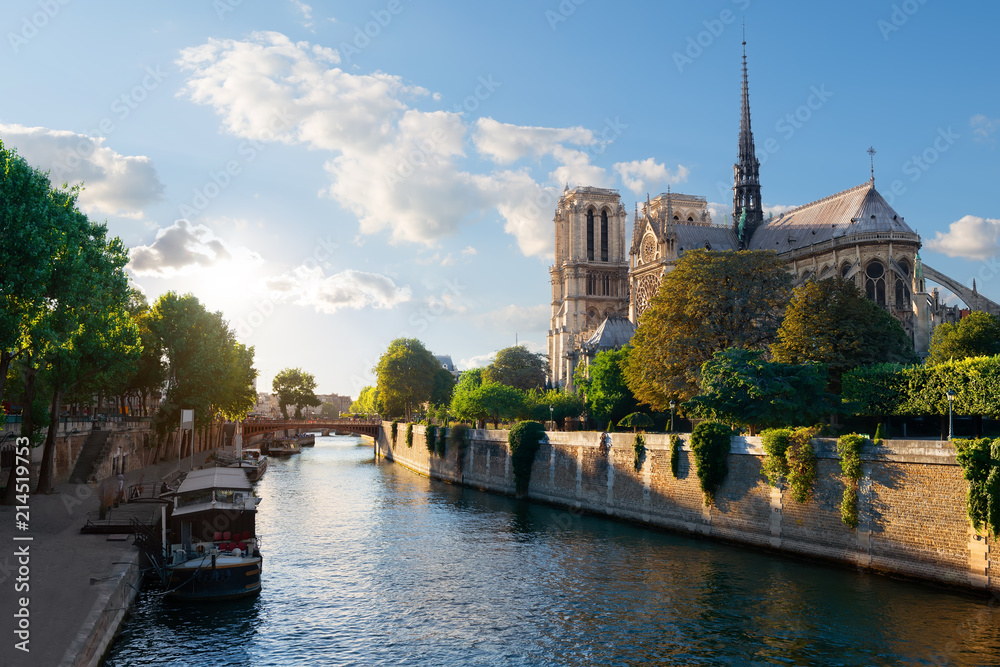 Wall mural Sunlight on Notre Dame