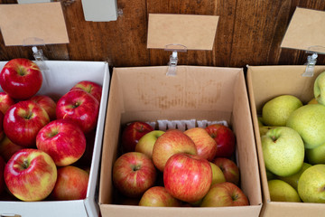 Variety of bright red and green, delicious, juicy and fully sun ripen apples for sale in a market during autumn. Ready to eat. Natural light. Copy Space.