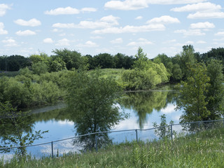 Pond with reflections amidst field and trees