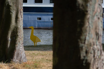 Yellow wooden bird on the grass and shadows in the sun set