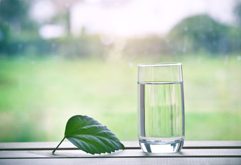 Glass of pure natural water and green leaf on natural morning background. Space for text