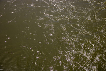 Water of a river with waves and light reflections.