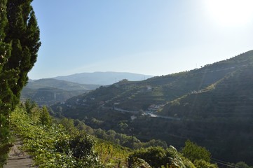 Vallée à Douro