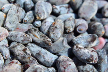 Berries are honeysuckle. Close-up. Background. Texture.