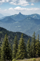 spring landscape, mountain valley, vertical photo, spring landscape, mountain valley, vertical photo