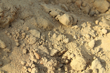 Fototapeta na wymiar Sand for construction. Close-up. Background. Texture.