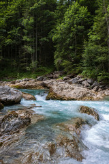 landscape with mountains, forest and a river in front. beautiful scenery