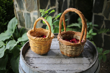 Fototapeta na wymiar Woven Wicker Basket of Dried Red Pink Rose Petals for scattering flower petals at a Wedding