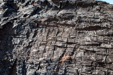 burnt wooden surface texture background