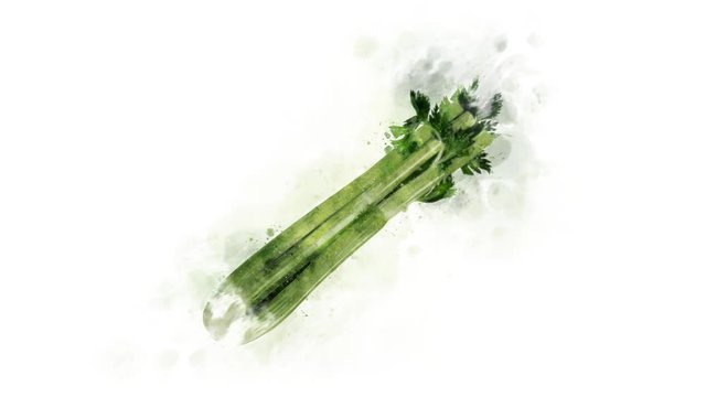 Celery, animated illustration