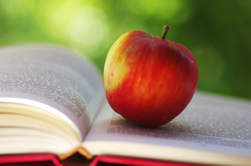 Red apple with open book on green background