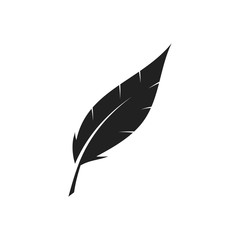 Feather icon. Vector.