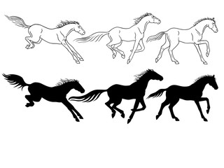 Horses. Set of linear and silhouette horses. Three galloping horses. Horses in different phases of the gallop. Linear pattern and silhouette.