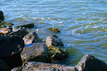 rocks in the water