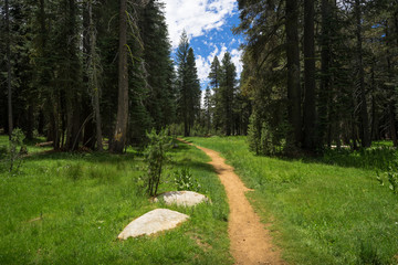 Lake Alpine Forest Hiking Trail, Ebbetts Pass