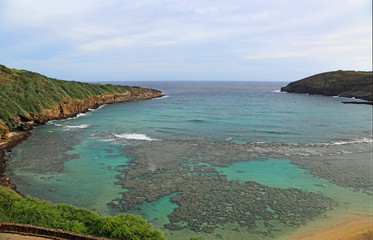 Fototapeta na wymiar Hanama Bay - Oahu, Hawaii