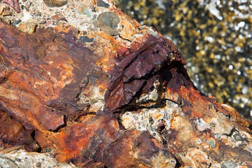 Close up weathered eroded rock stone at the beach pier. Red and brown rock texture.