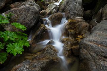 Rugged Rock Canyon and Beautiful Water Falls of Tamarack Creek - Yosemite