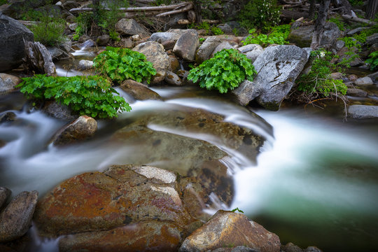 Smooth Flowing Water of Carlon Creek - Yosemite National Park