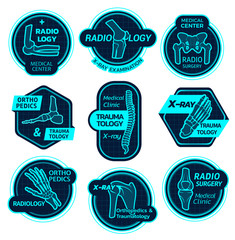Orthopedics health center vector X-ray icons