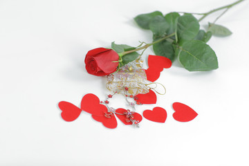red rose, jewelry and red hearts on white background