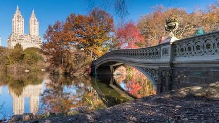 Central Park in Autumn, New York