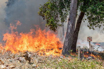 Firefighters Fighting Wildfire California