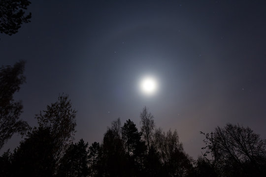 Moon halo with trees