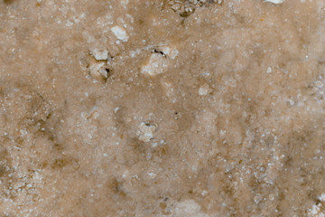 Real Marble. Ornate, design use and background. Detail texture. Color: yellow.