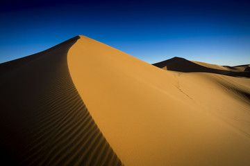 Fototapeta na wymiar Sahara Sand Dune