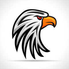 Vector eagle head color design