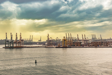 Fototapeta na wymiar Cranes in the Singapore harbour.