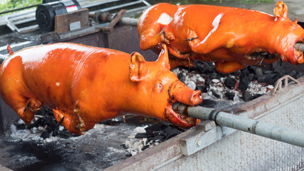 barbecued suckling pig BBQ close up