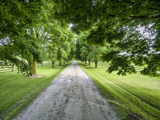 Horse farm ranch  landscape in toronto canada  