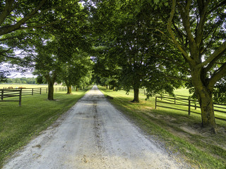 Horse farm ranch  landscape in toronto canada  