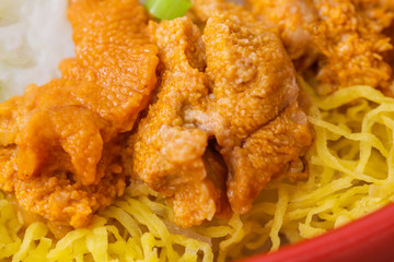 ウニのアップの写真