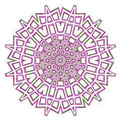 Modern floral vector ornaments. Decorative flower mandala. vector illustration.