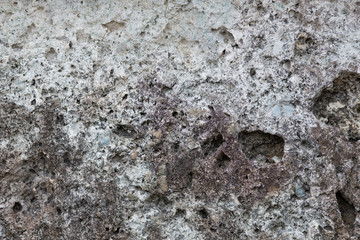 コンクリートの表面 背景 テクスチャ
